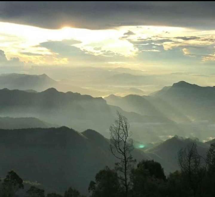 Praveen'S Wood House Kodaikanal Vattakanal Eksteriør bilde