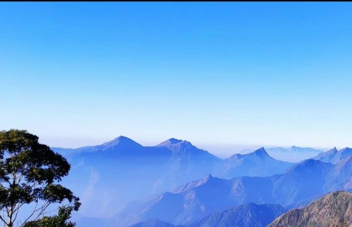 Praveen'S Wood House Kodaikanal Vattakanal Eksteriør bilde